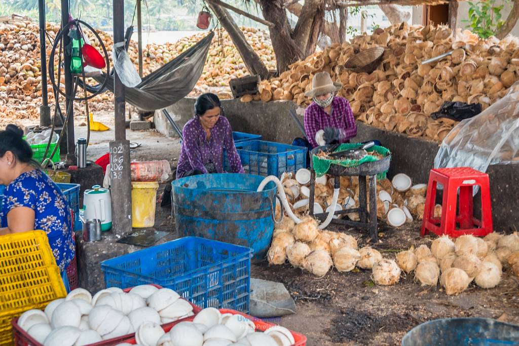Vietnam