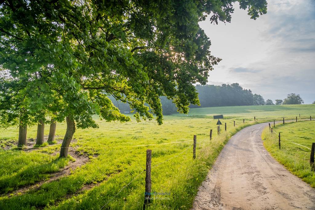 Holzmannstett