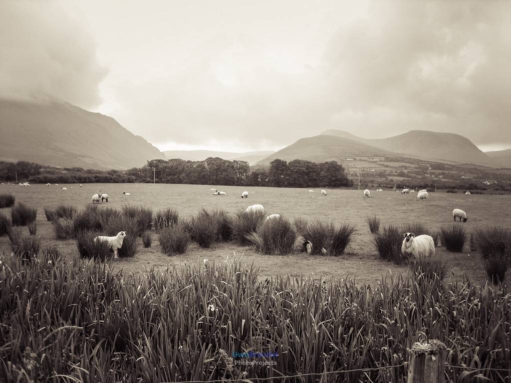 Irland